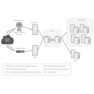 Authentication, Authorization and Accounting
