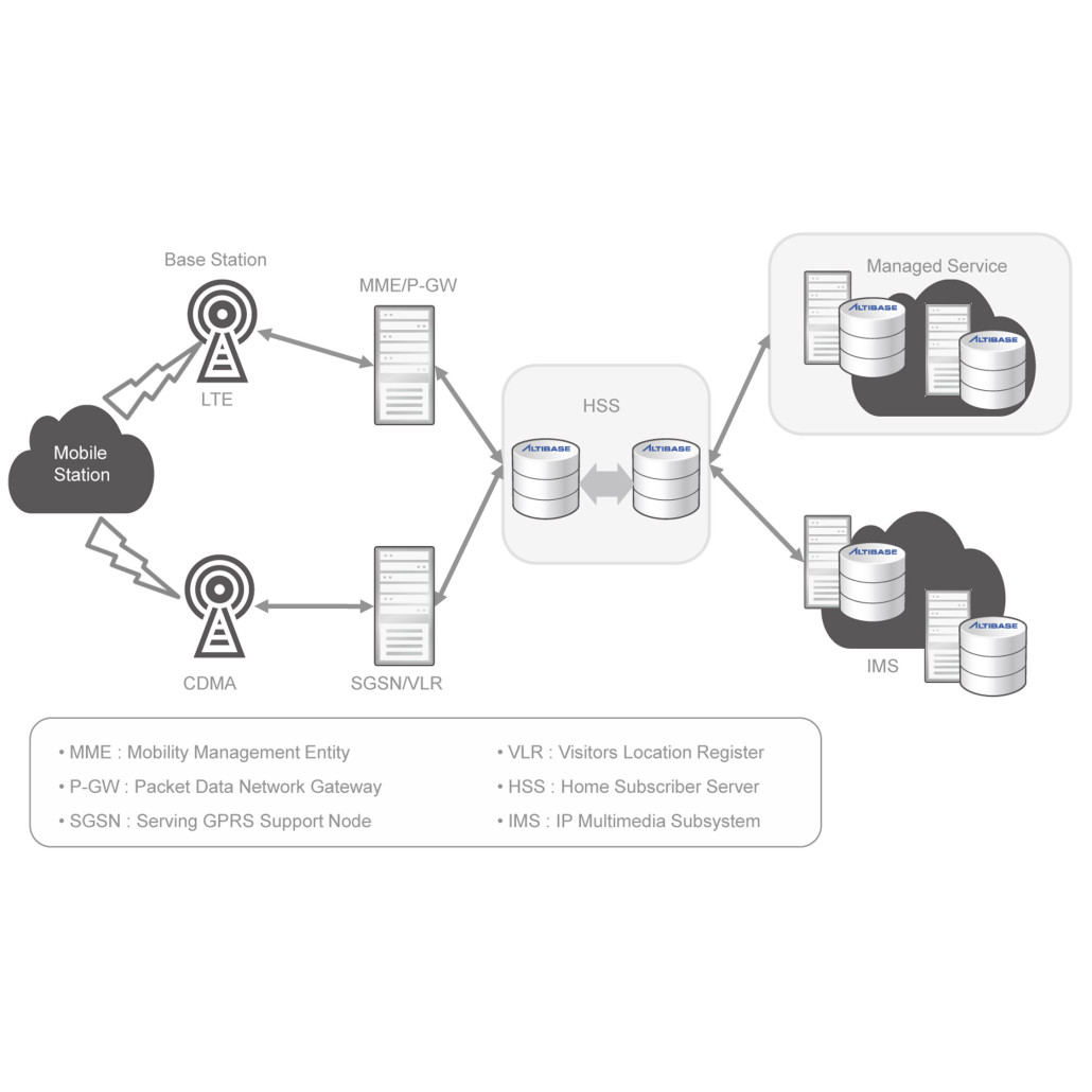 Home Subscriber Server